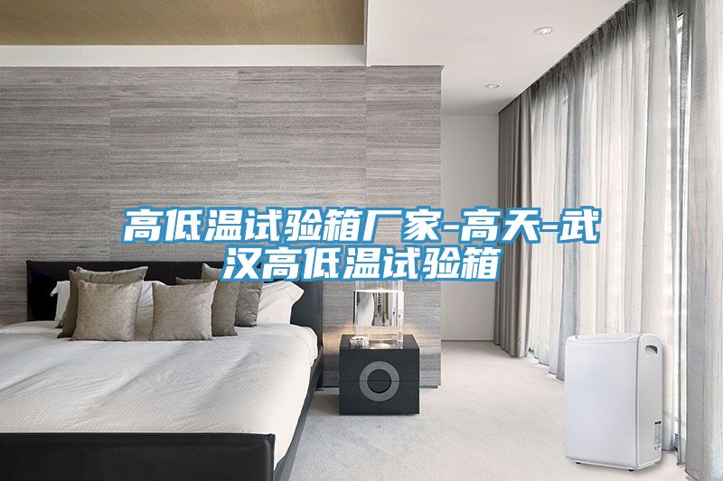 亚洲欧美一级特黄大片 高低温试验箱厂家-高天-武汉高低温试验箱