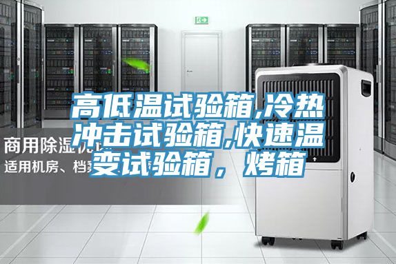 亚洲欧美一级特黄大片 高低温试验箱,冷热冲击试验箱,快速温变试验箱，烤箱