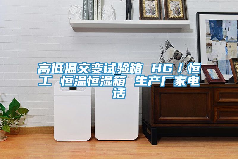 亚洲人成综合第一网站 高低温交变试验箱 HG／恒工 恒温恒湿箱 生产厂家电话